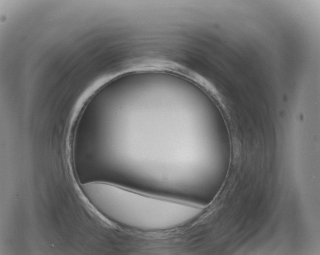 X0000080721480200612150826