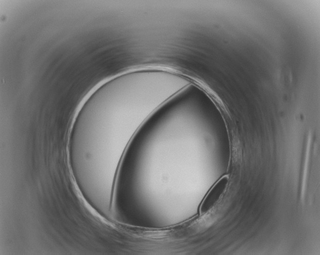 X0000080721484200612150826