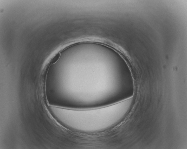 X0000080721504200612150825