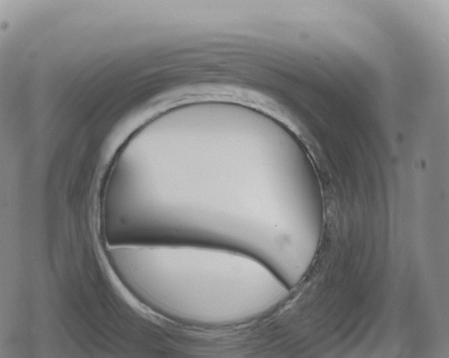 X0000080721523200612150825