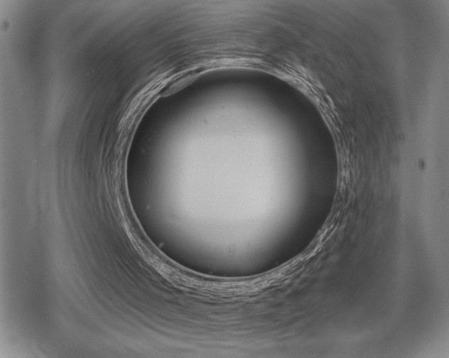 X0000080720001200612151210