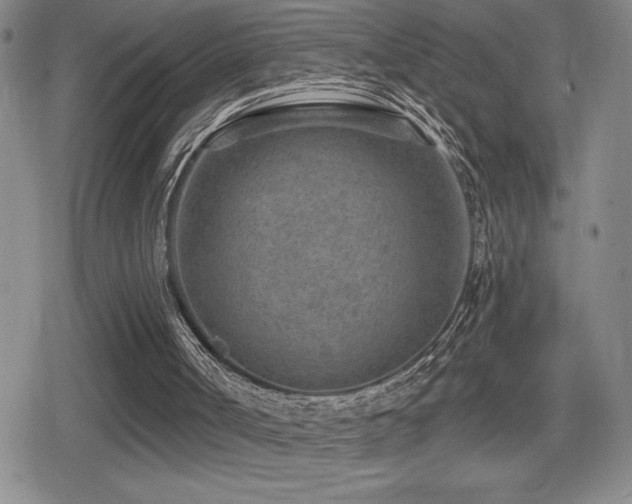 X0000080720002200612151210