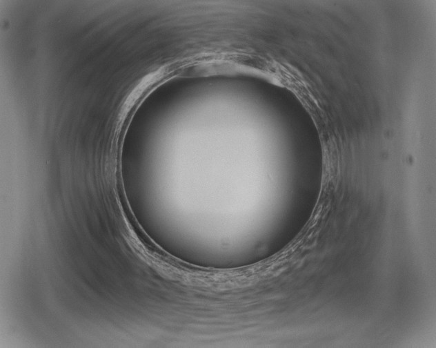 X0000080720003200612151210