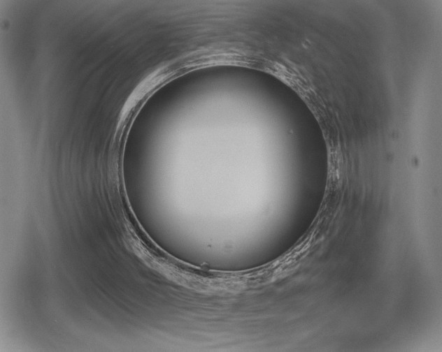 X0000080720004200612151210