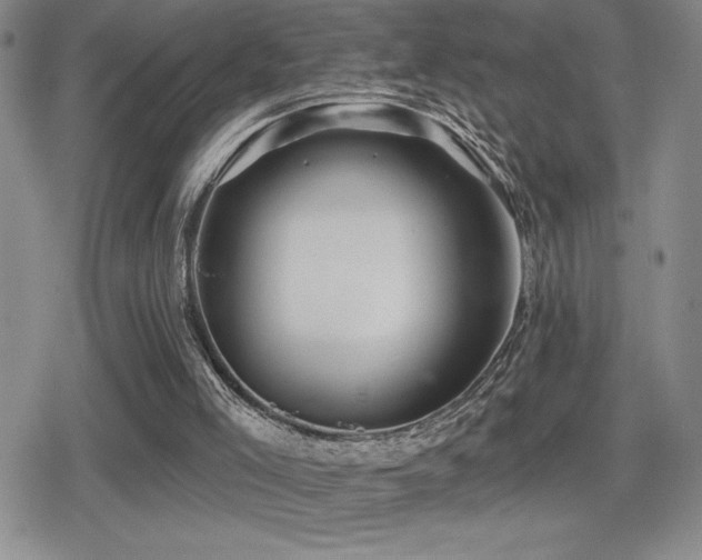 X0000080720005200612151210