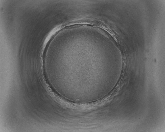 X0000080720006200612151210