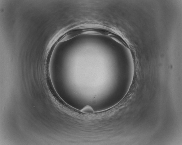 X0000080720007200612151210