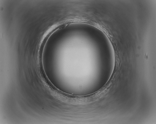 X0000080720008200612151210