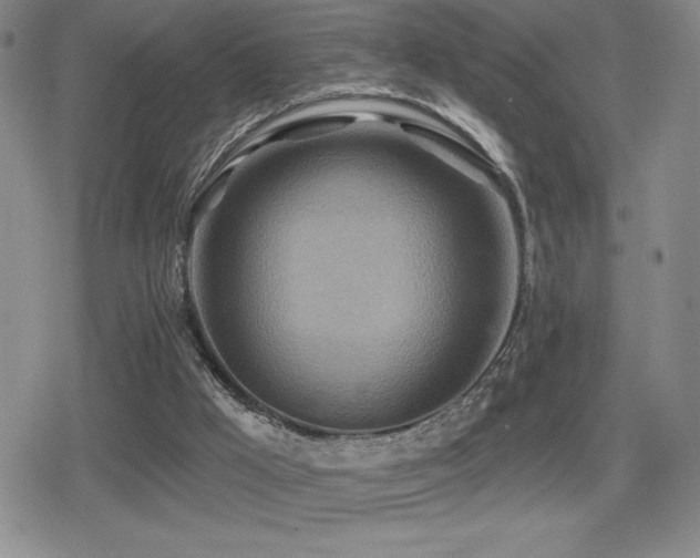 X0000080720009200612151210