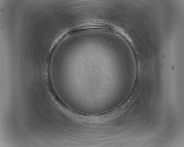 X0000080720010200612151210