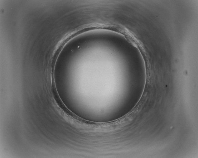 X0000080720011200612151210