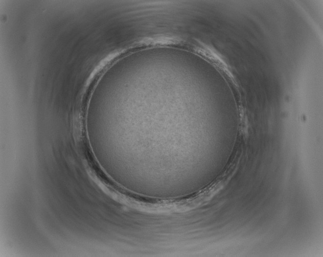 X0000080720012200612151210