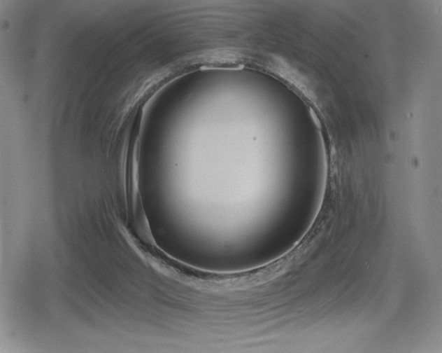 X0000080720013200612151210