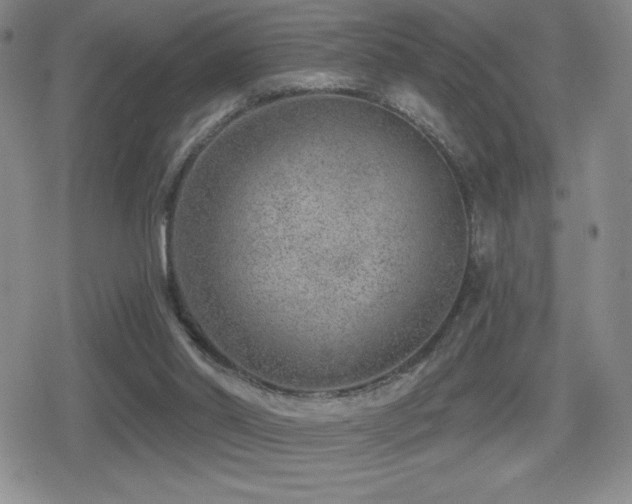 X0000080720014200612151210