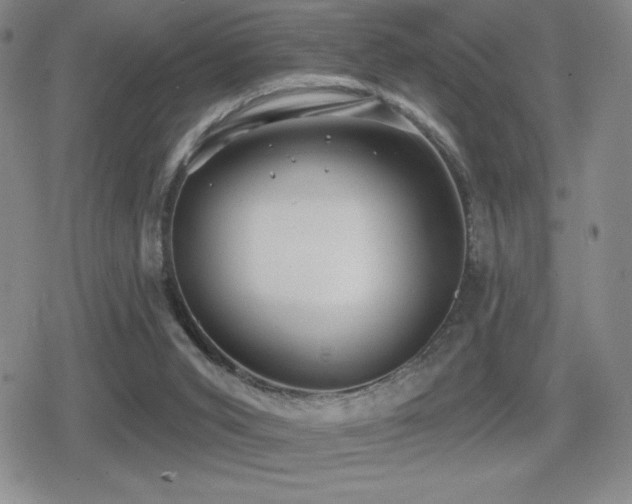 X0000080720015200612151210