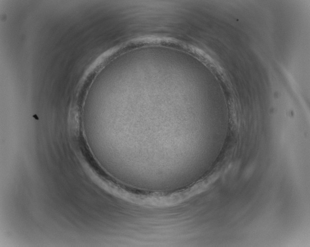 X0000080720016200612151210