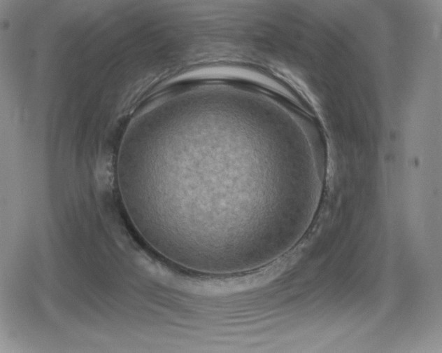 X0000080720017200612151210