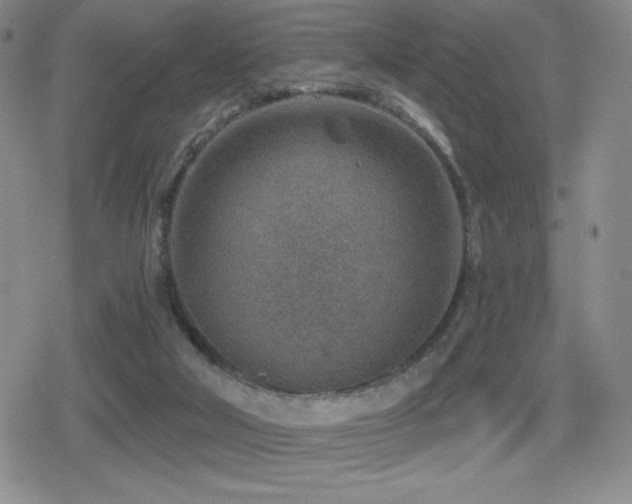 X0000080720018200612151210