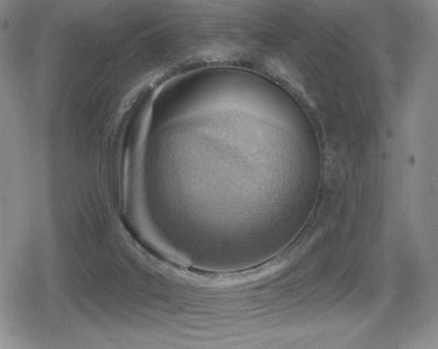 X0000080720019200612151210