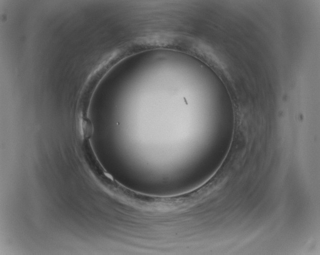 X0000080720020200612151210