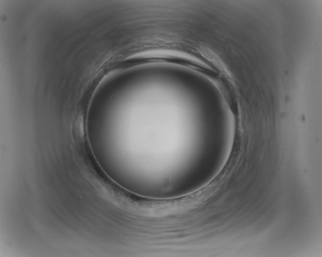 X0000080720021200612151210