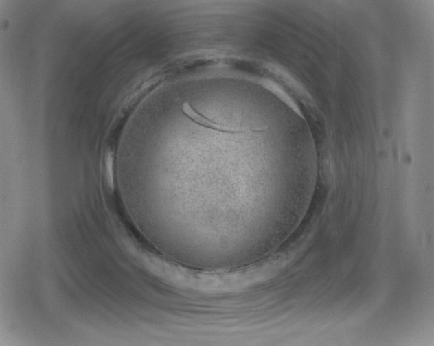 X0000080720022200612151210