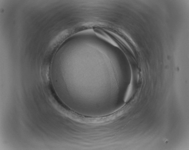 X0000080720023200612151210