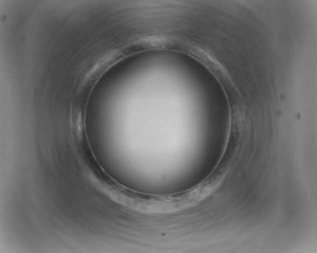 X0000080720024200612151210