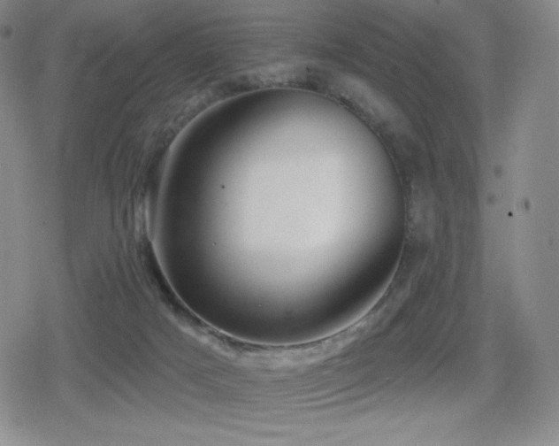 X0000080720025200612151210