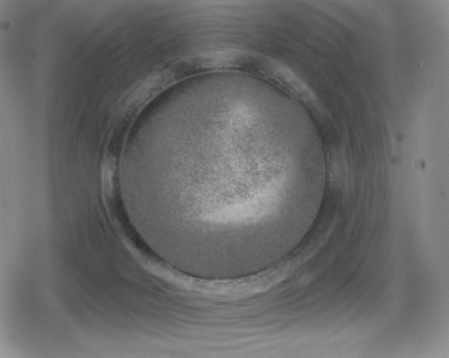 X0000080720026200612151210