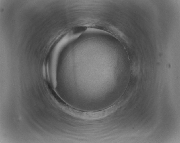 X0000080720027200612151210