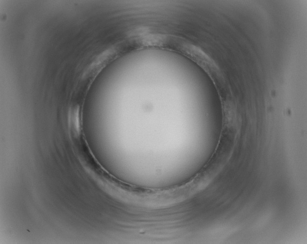 X0000080720028200612151210