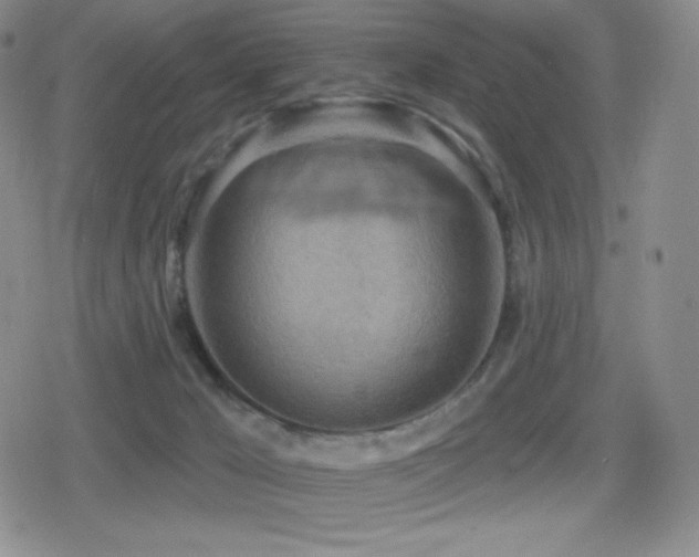 X0000080720029200612151210