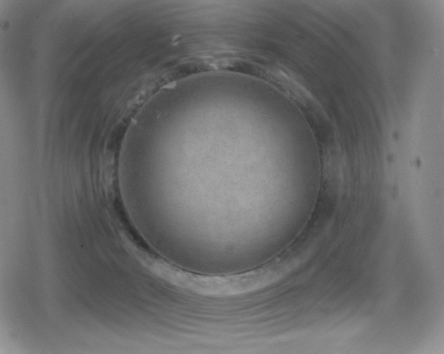 X0000080720030200612151210