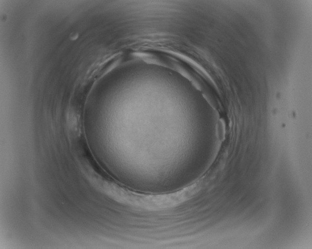 X0000080720031200612151210