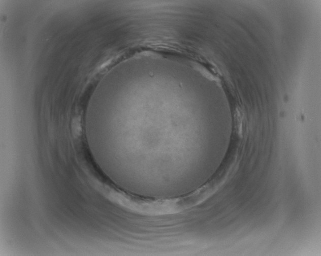 X0000080720032200612151210