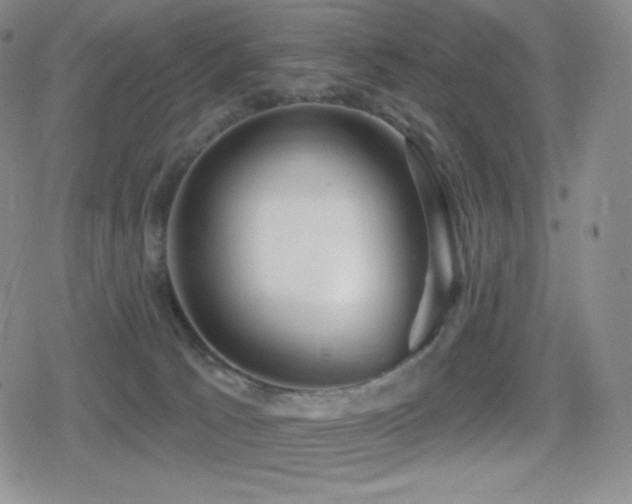 X0000080720033200612151210