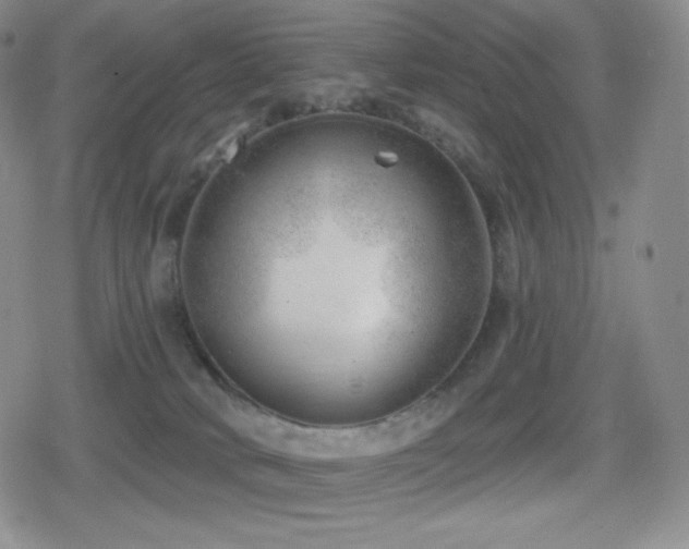 X0000080720034200612151210