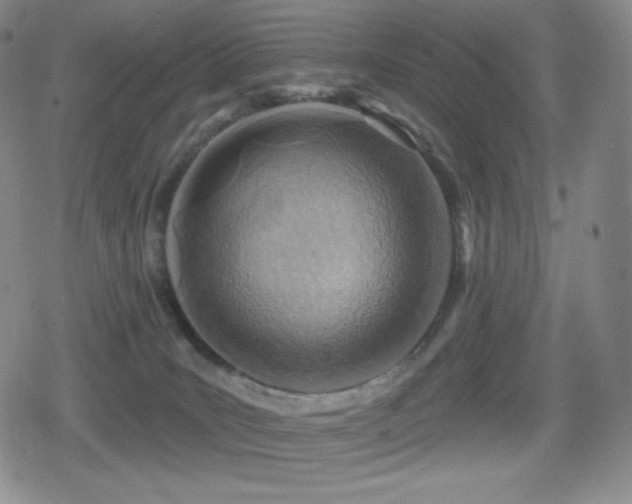 X0000080720035200612151210