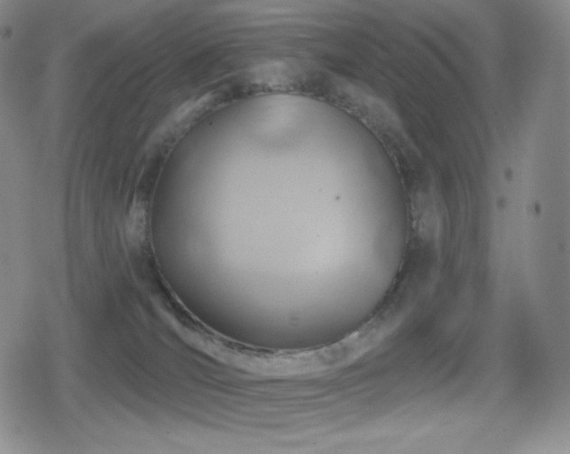 X0000080720036200612151210