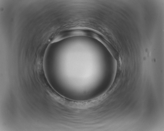 X0000080720037200612151210