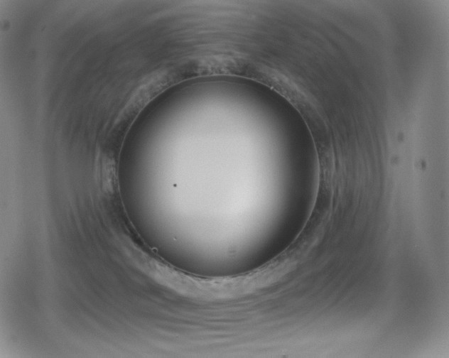 X0000080720038200612151210