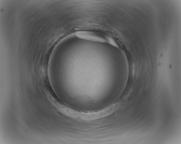 X0000080720039200612151210