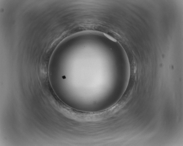 X0000080720040200612151210