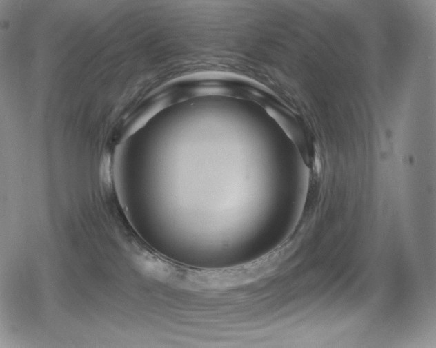 X0000080720041200612151210