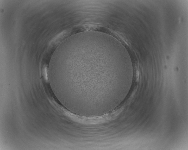 X0000080720042200612151210