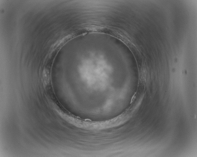 X0000080720043200612151210