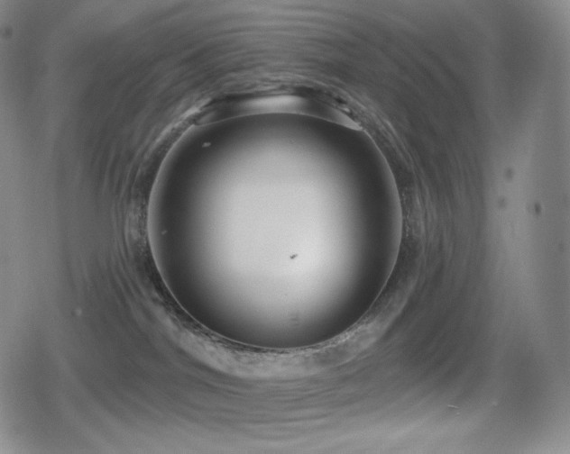 X0000080720044200612151210