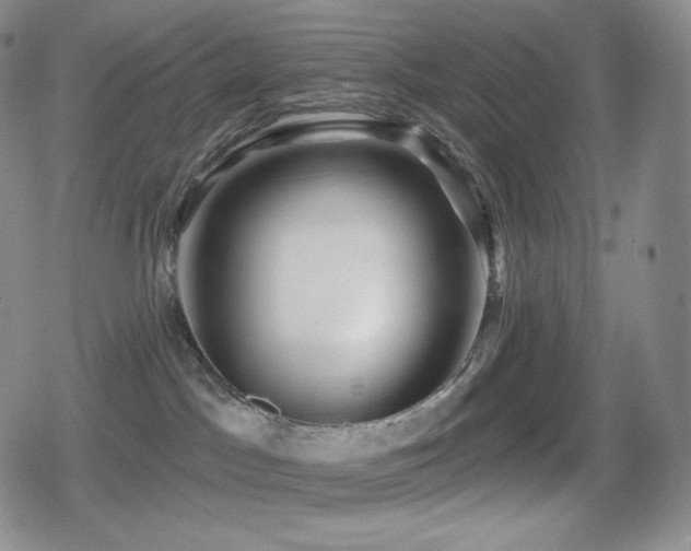 X0000080720045200612151210