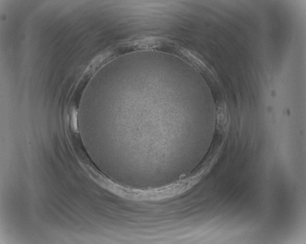 X0000080720046200612151210